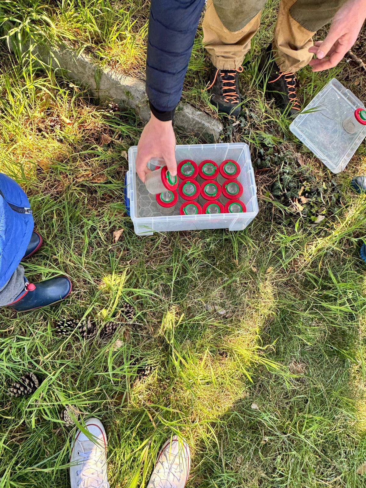 Ecole du Petit granit